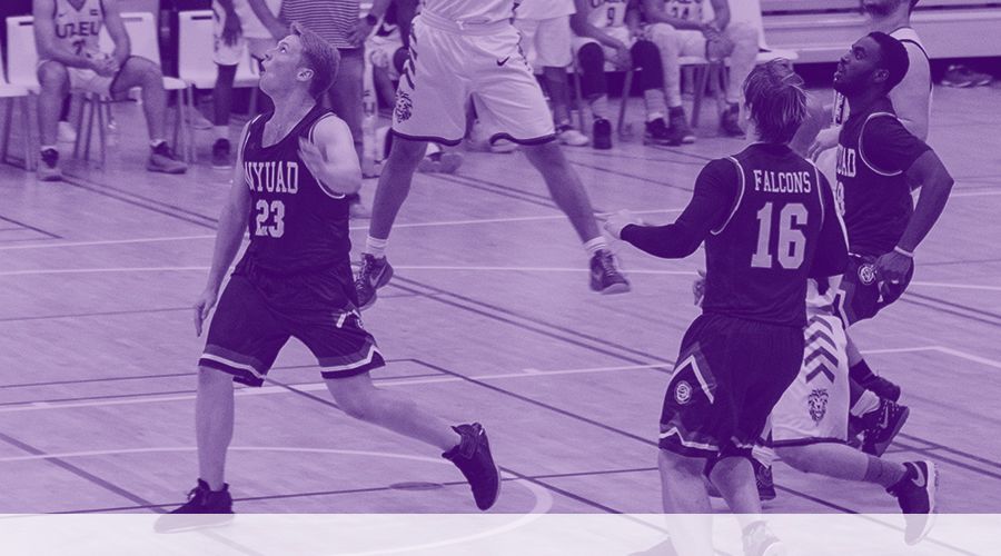 NYUAD Campus, Defend the Nest