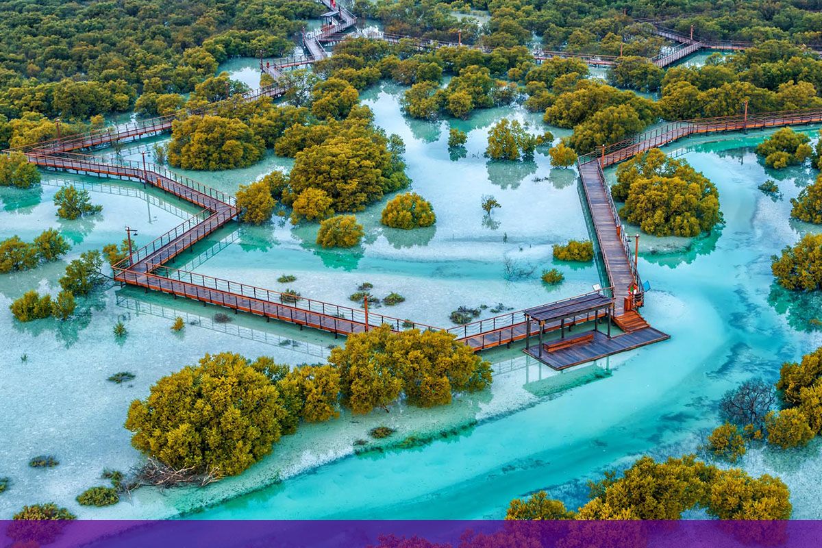 Jubail Mangrove Park